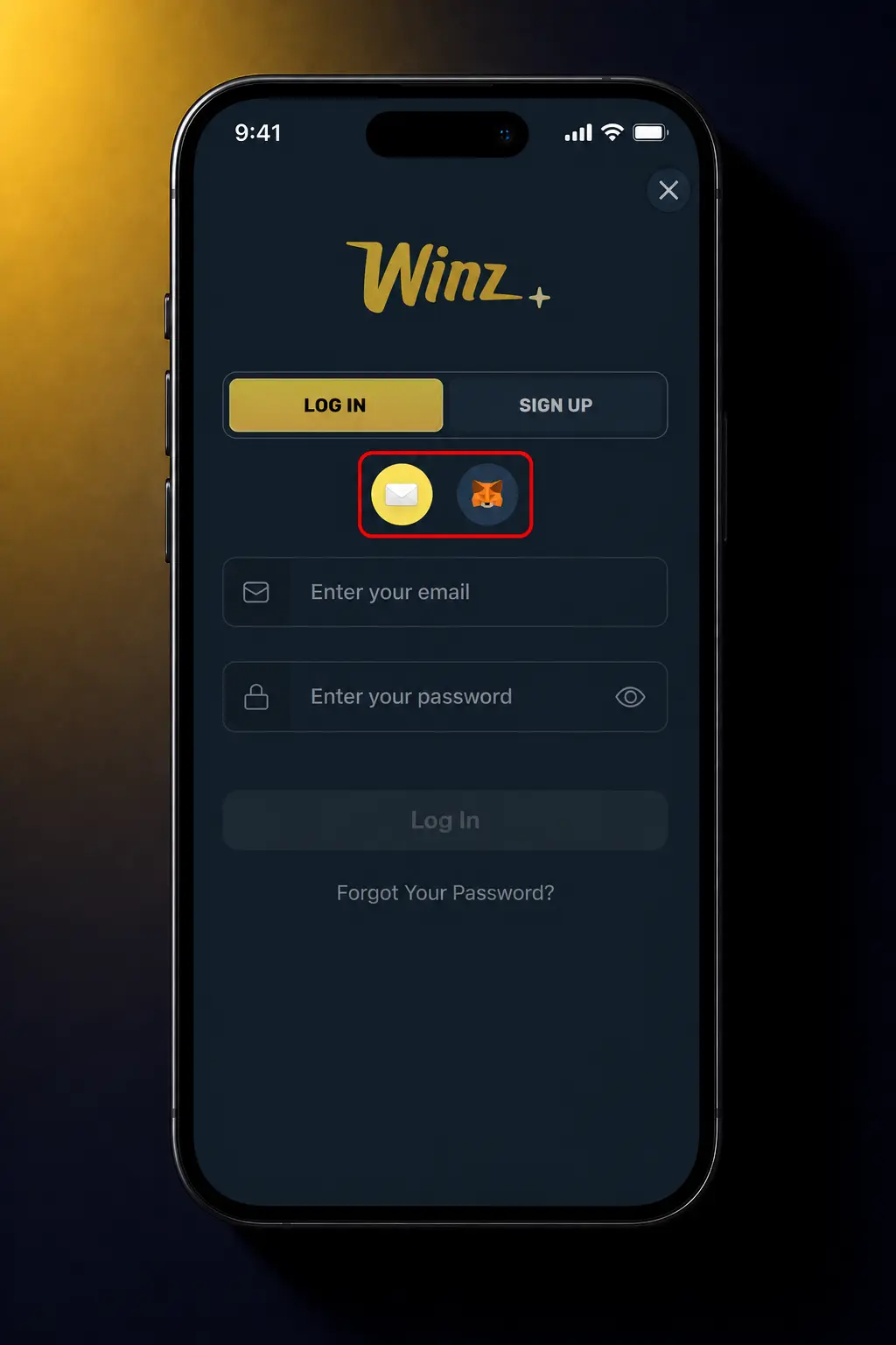 Login at Winz via mobile browser app showing the app-style login screen with email, password and Google sign-in options.